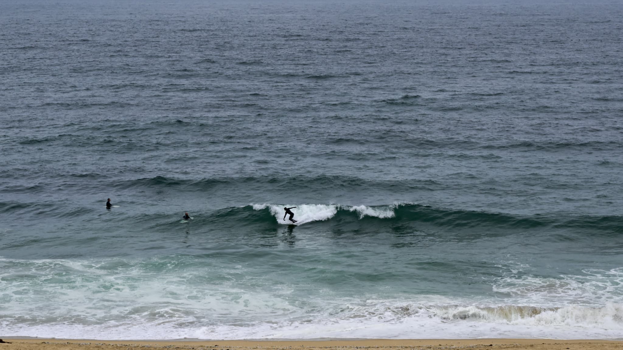 Californie : une triathlète dévorée par un requin