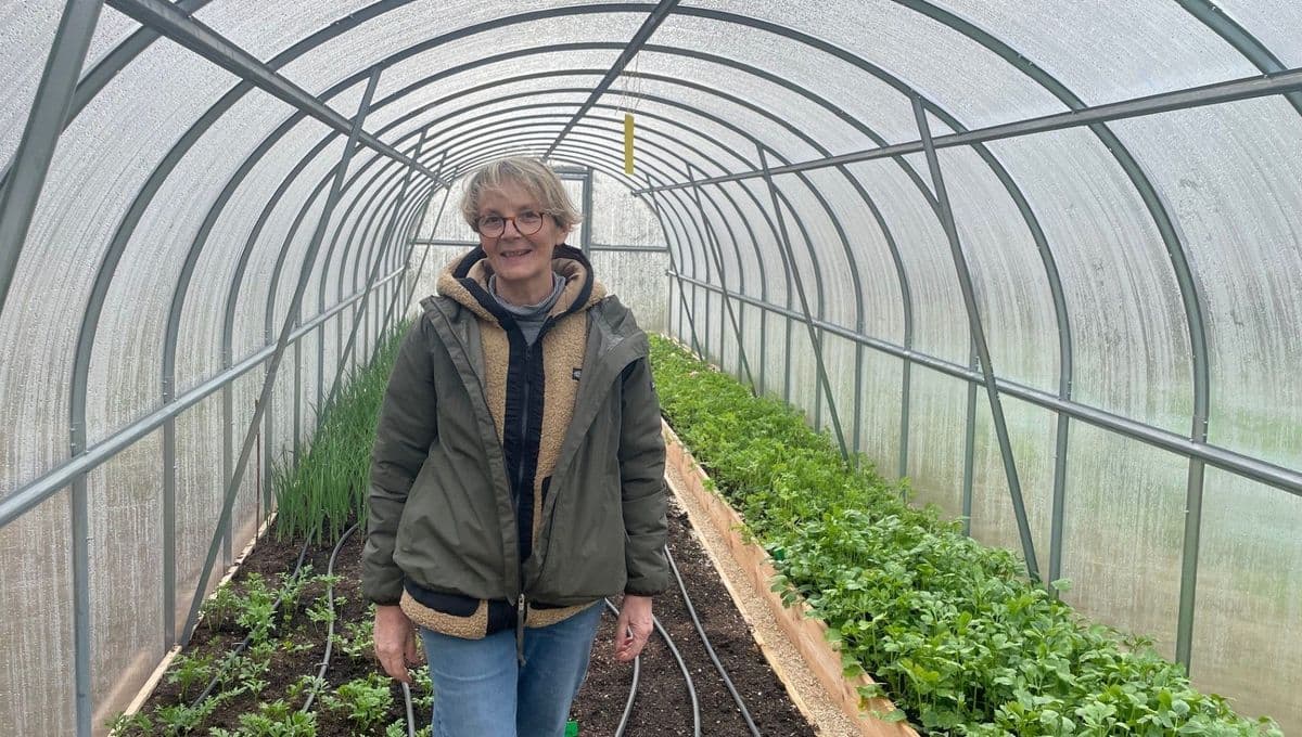 Saint-Valentin : le réveil patriote des fleurs françaises