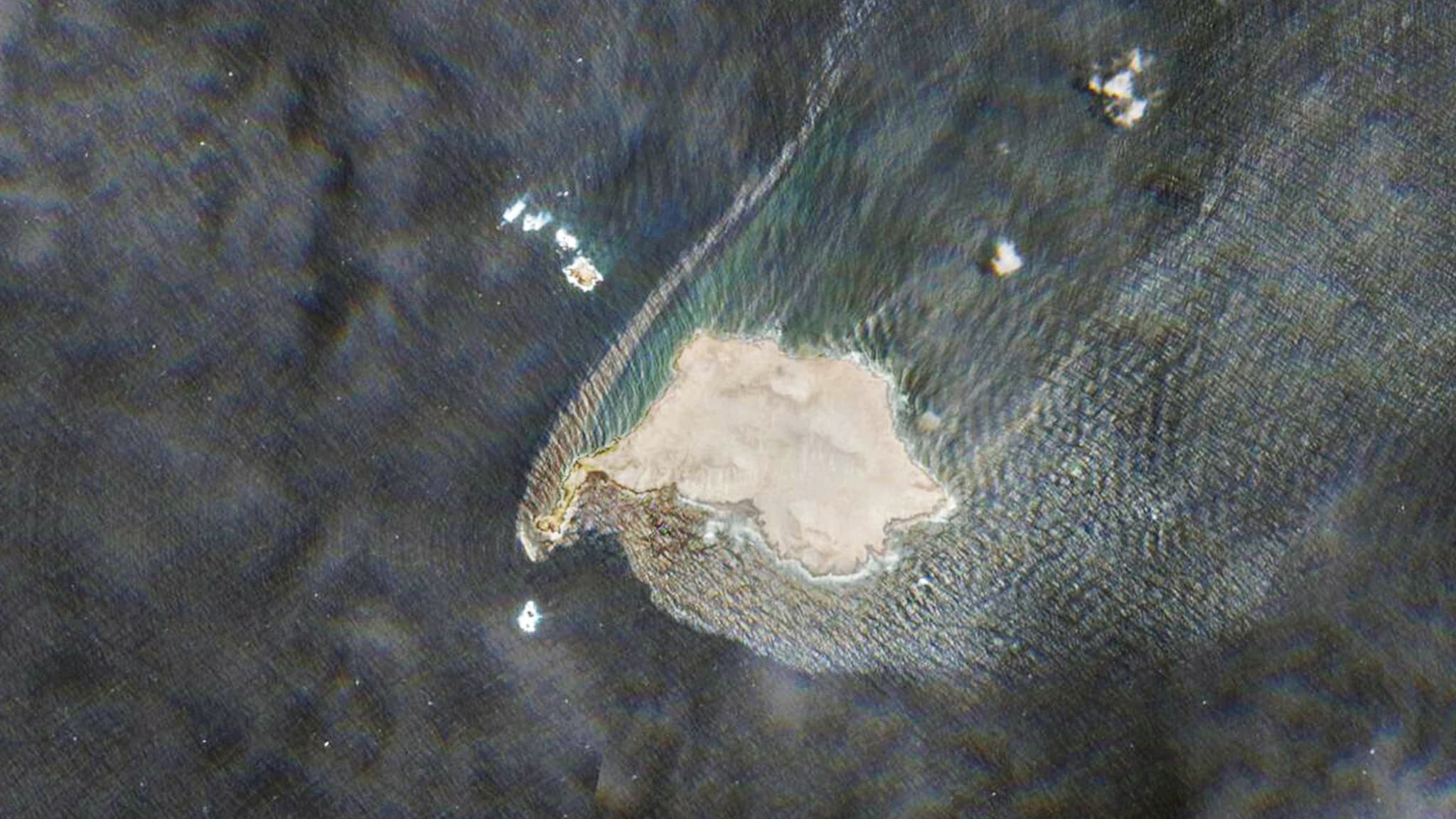 Marée noire à Oman : la « flotte fantôme » russe souille un paradis de biodiversité