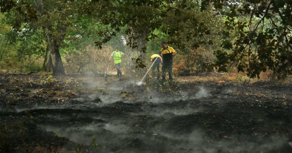 Landes : Luglon respire, le feu est fixé, et les élites peuvent retourner à leurs tartes aux fraises