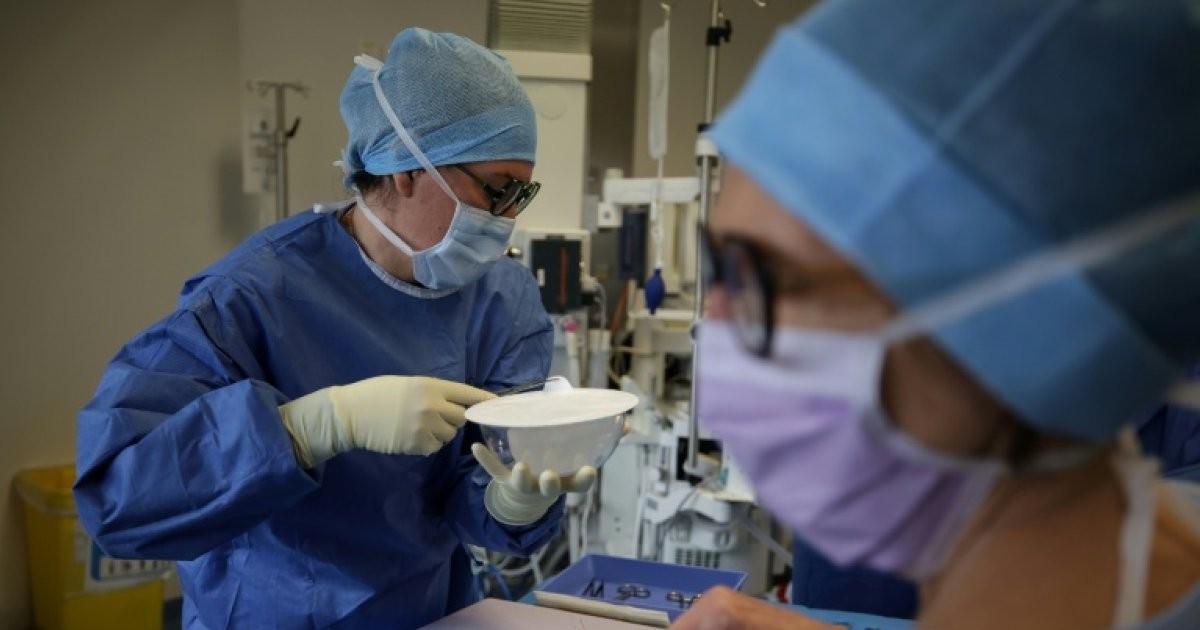 Reconstruction mammaire : la science répare enfin ce que l'administration casse